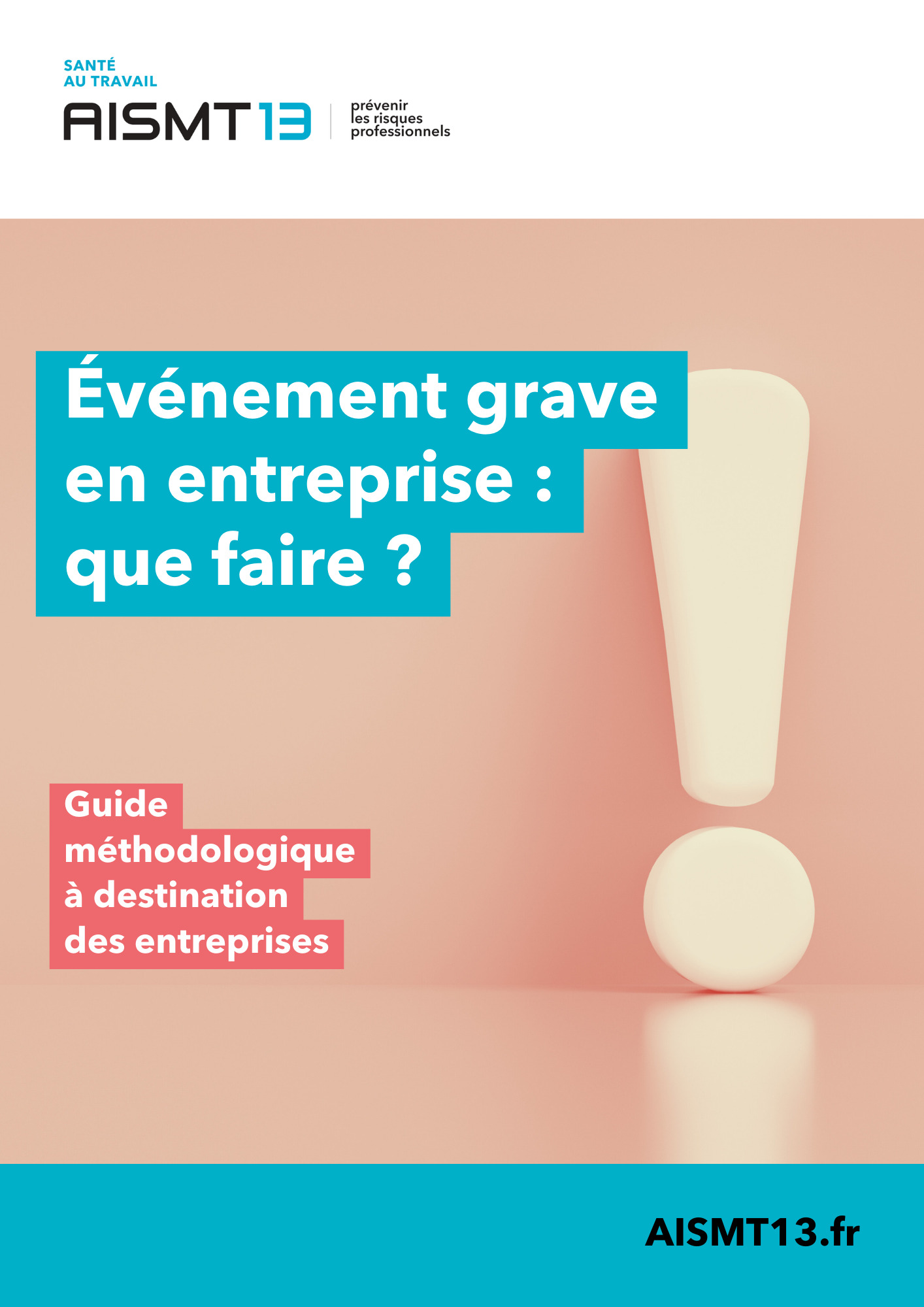 Evenement grave entreprise guide AISMT13 miniature Fiches risques émergents