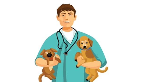 Vétérinaire qui portent des chiots
