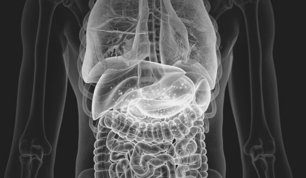 Perturbateurs endocriniens